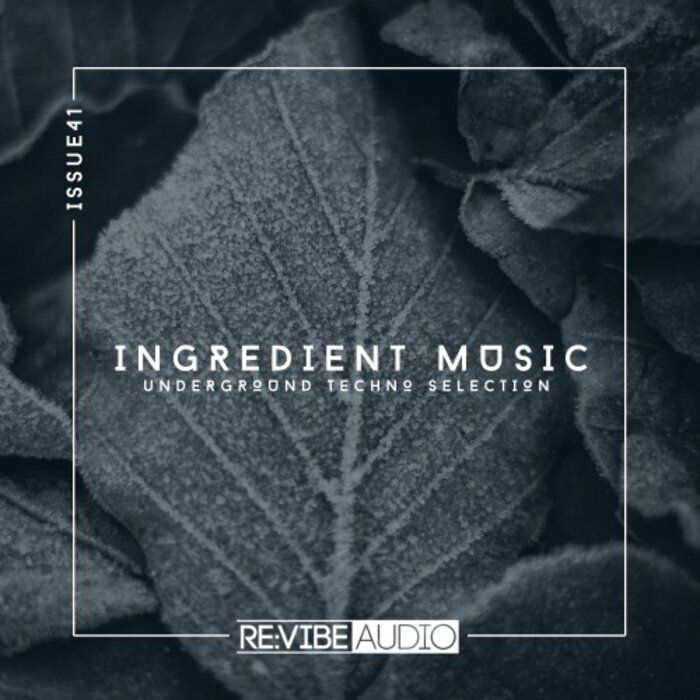 VA - Ingredient Music, Vol. 41 [RACOMP432A]